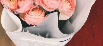 Blommornas betydelse: antal, färg och blomsort
