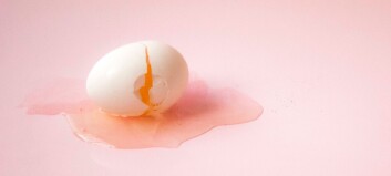 Så länge håller ett ägg – rått, kokt eller fryst