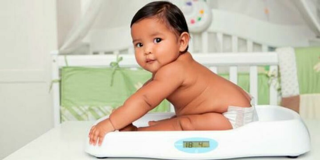 Det är inte bara vikt som avgör om en baby är överviktig eller inte, säger näringsfysiolog. Foto: Shutterstock.com ©