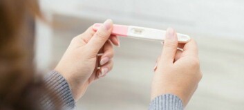 Kan man bli gravid när man har mens? Här är svaret