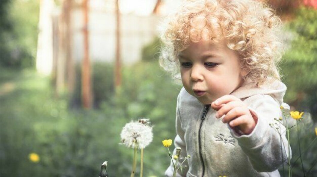 Pollenallergi hos små barn förkylning