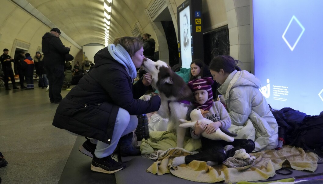 En familj och familjens hund söker skydd i tunnelbanan, Kiev. TT / AP