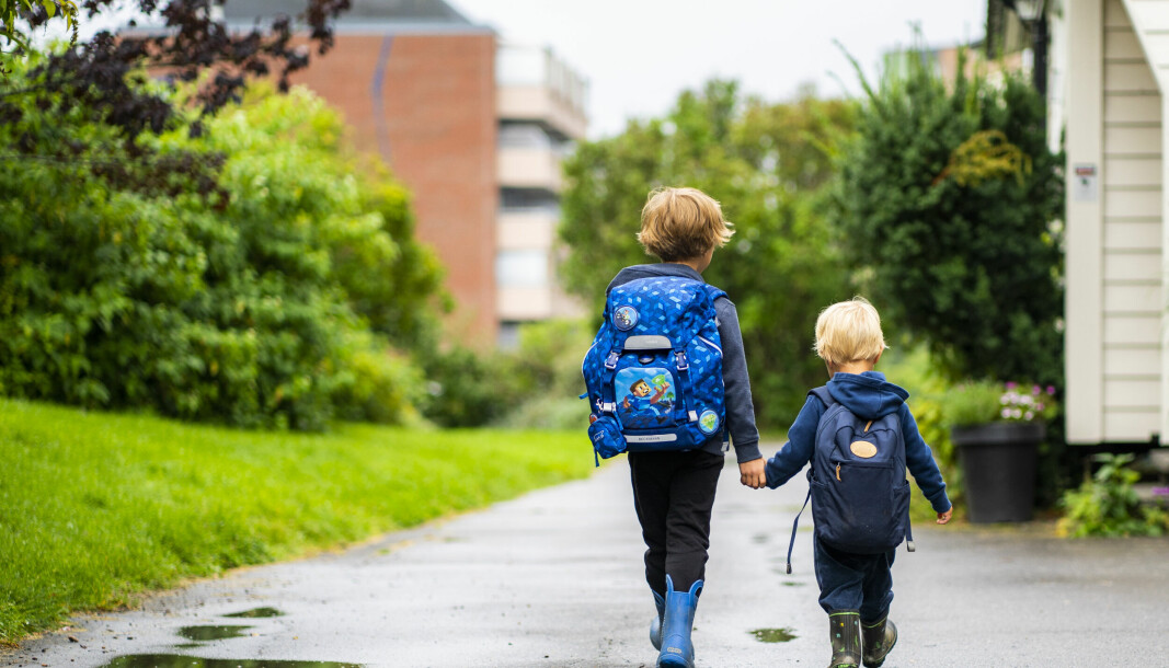 Svenskar som växte upp som ensambarn i slutet av 1900-talet tycks haft högre risk för bland annat övervikt än de med syskon, enligt en svensk studie.