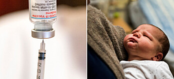Moderna: Låg dos vaccin fungerar på bebisar – då kan de erbjudas vaccin