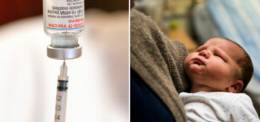 Moderna: Låg dos vaccin fungerar på bebisar – då kan de erbjudas vaccin
