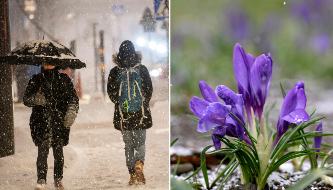 En sammanfattning av vädret de kommande dagarna: regn, snö och temperaturer under det normala.