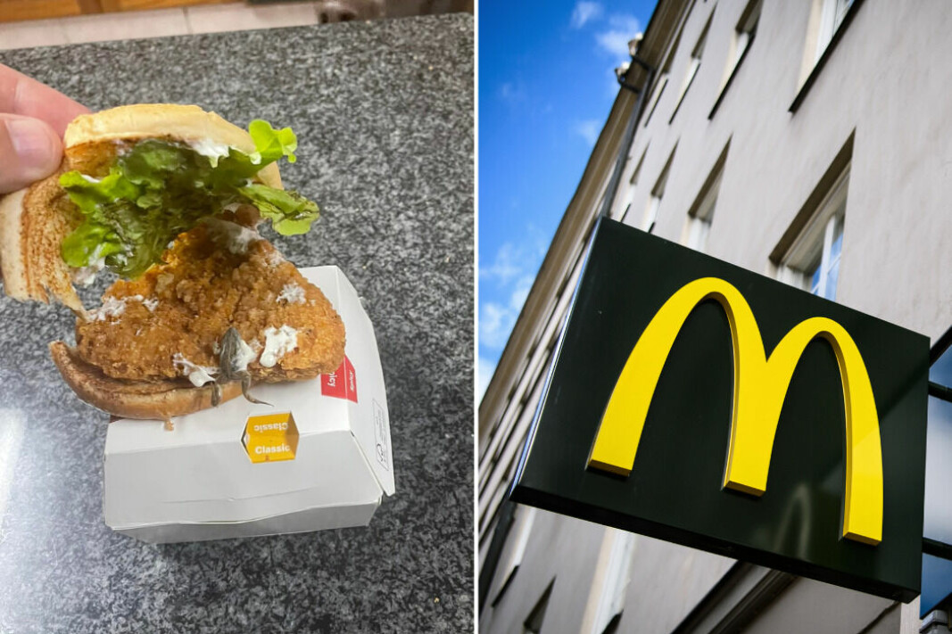 När familjen Bezuidenhout hade beställt hem hamburgare från McDonald's upptäckte de en groda i en av hamburgarna.