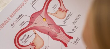 Endometrios – när mensvärken påverkar hela din vardag