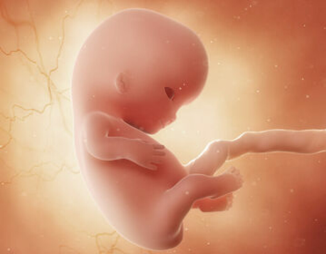 Embryo i gravidvecka 9!