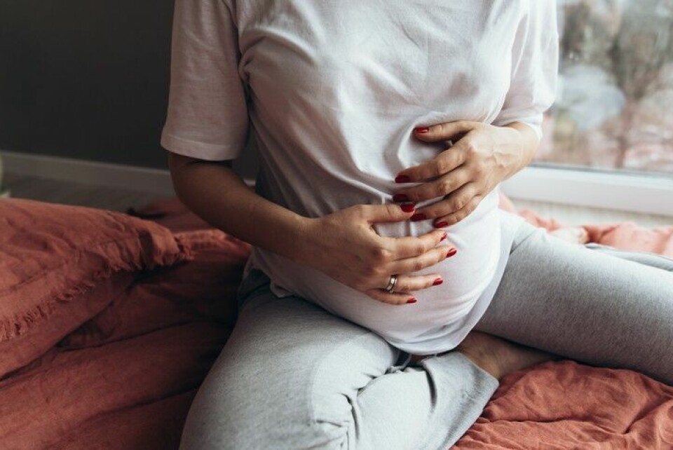 Gravid vecka 17 – din bebis växer fort