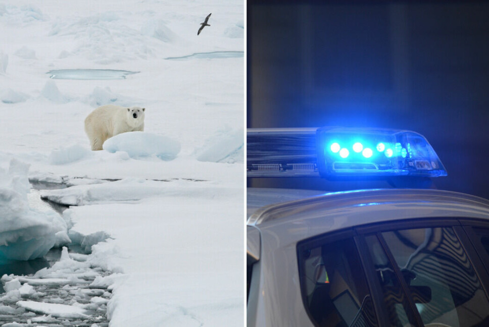 En isbjörn uppges ha dödat en kvinna och en pojke i en by i Alaska, USA. Arkivbilder.