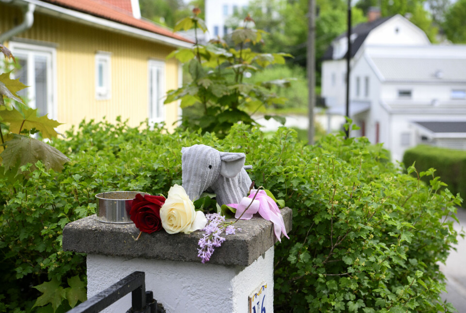 En mamma och hennes lille son avled efter att ha knivskurits svårt i Mälarhöjden i södra Stockholm. Nu döms en man, kvinnans bror, till rättspsykiatrisk vård för dubbelmordet.